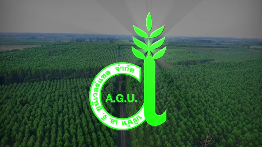 A.G.UNIVERSAL CO.,LTD (Ver.Thai)